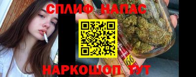 молекула духа Бийск
